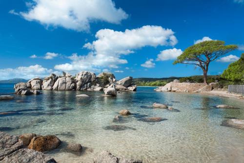 Résidence Les Lièges de Palombaggia