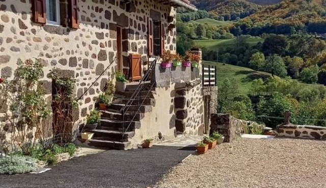 Renovated historic house with terrace, pets allowed