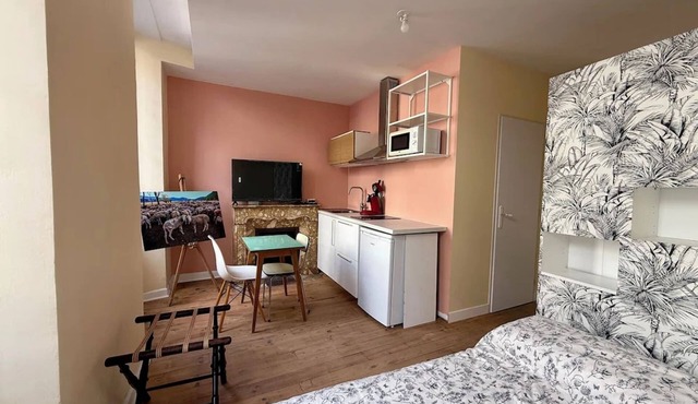 Renovated studio in Lourdes - Rue de la Grotte, near the Sanctuary and the Pyrenees