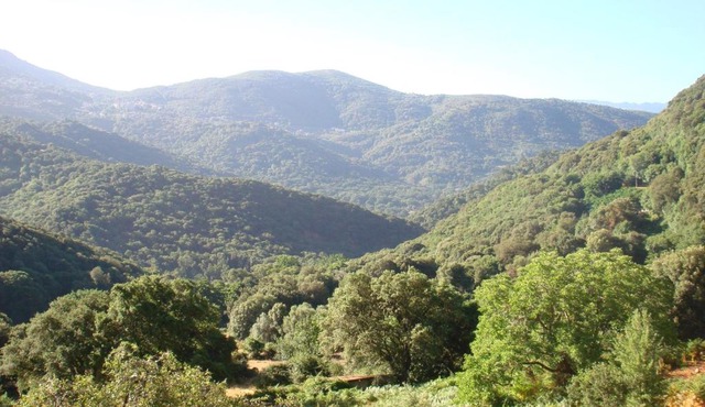 Rez de Villa
