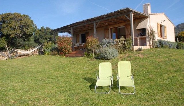 Rosemary - MONACIA D'AULLENE