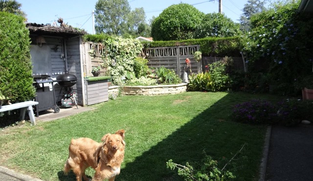 Semi-detached house
