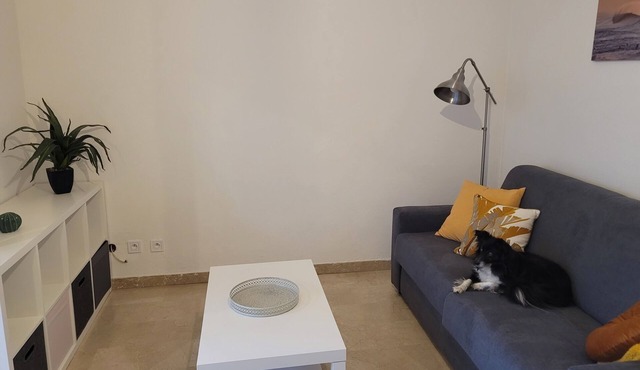 Spacious studio in residence with swimming pool close to all amenities