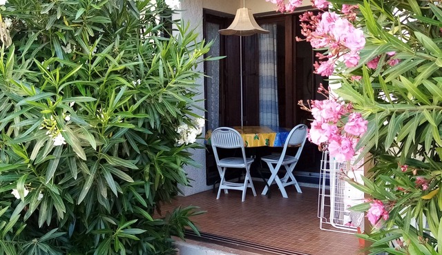 STOP CANET-PLAGE-T2-45m²-parking, enclosed garden-quiet, sunny-sleeps 4