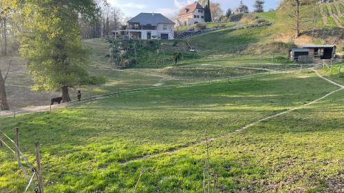 Studio 3 à 4 personnes O Zânes Zen 3 étoiles