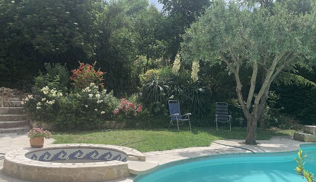 Studio garden swimming pool