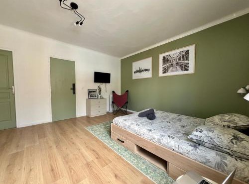 Studio Vienne - Spacieux et confortable en plein centre in Châtellerault