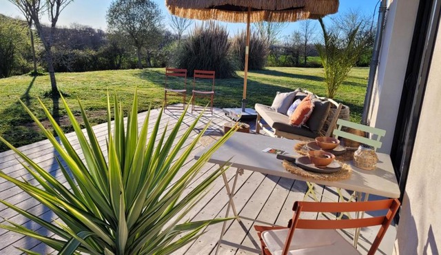 Sunny oasis