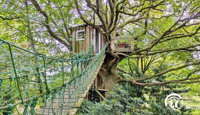 "Treehouse Retreat with Pool, Farm Animals & Fishing in Saint-Thomas-de-Courceriers"