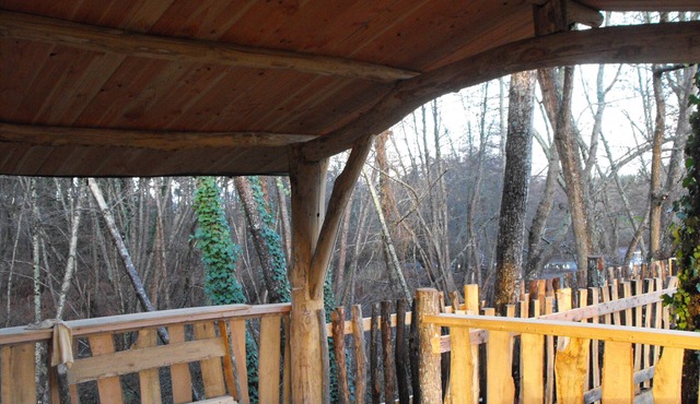 Tree house