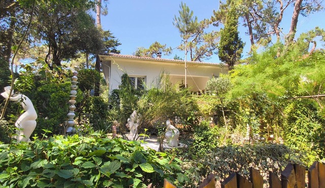 Villa Papy, Ronce les bains - Beach on foot, garden under the pines,
