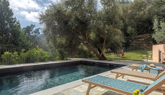 Villa Piccula Plus, with sea view pool, in a historic site in Erbalunga