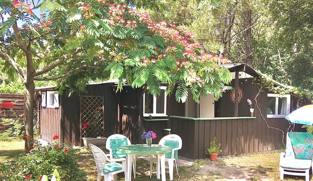 Vrbo Property