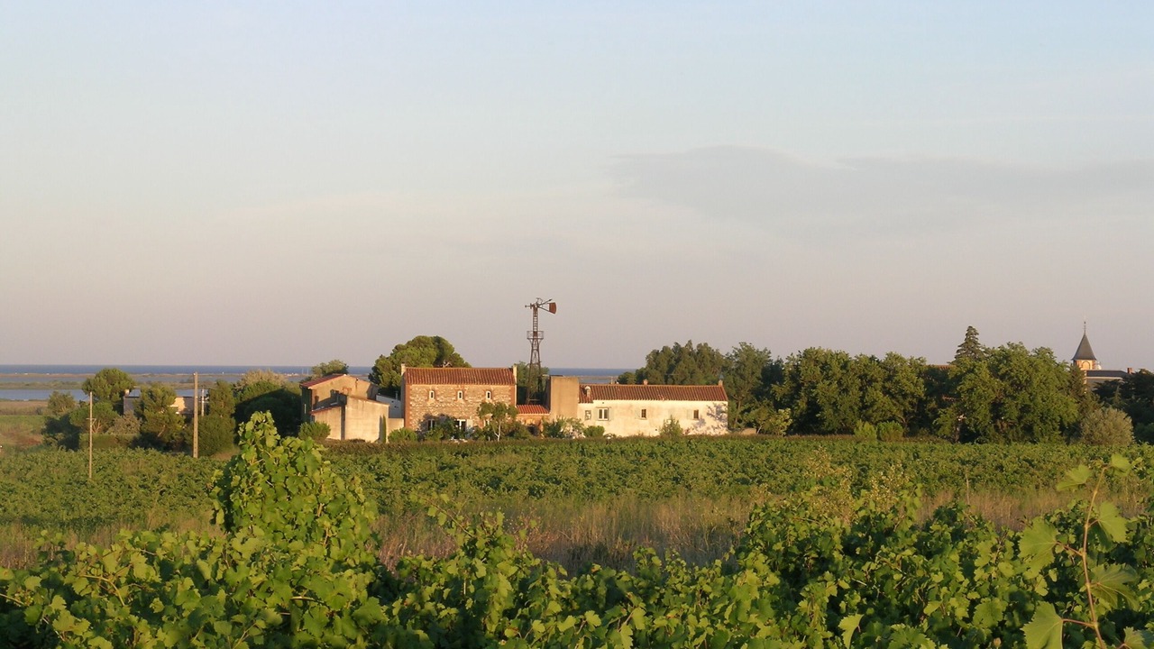 Photo of Outdoor in Saint-Nazaire
