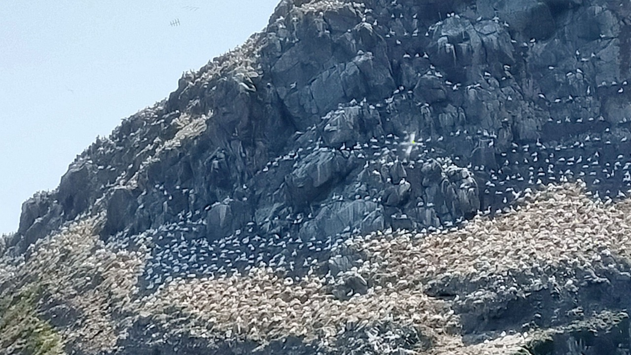 Photo of Outdoor in Penvenan