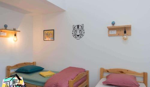 Single Bed in Dormitory Room